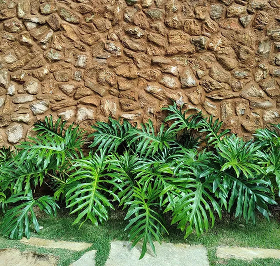 Guaimbê